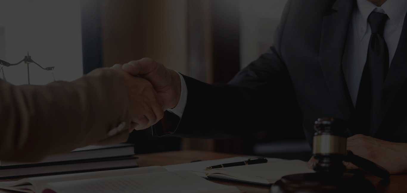 공식 인허가 및 법적 등록 현황 배경