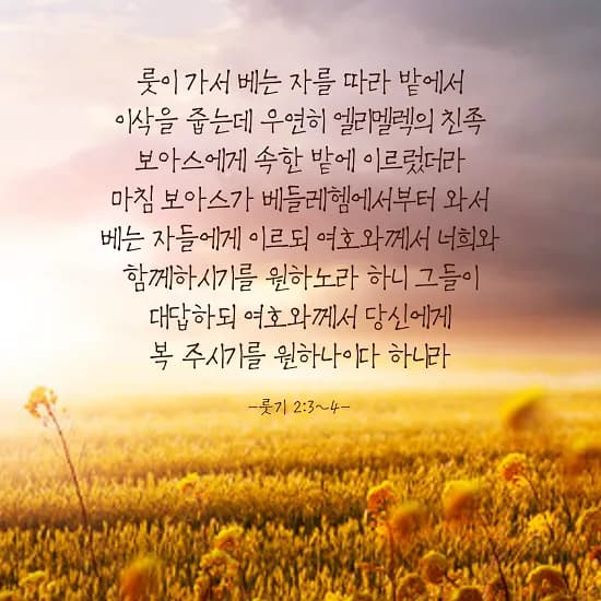 193ccedd555ce9c3e2f1df806738f027_1643348264_6023.png