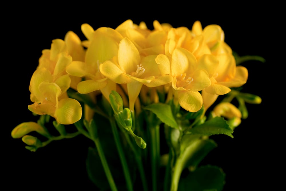 f0ad8babf3e34e32f660529697b85644_1785982830_6719.jpg