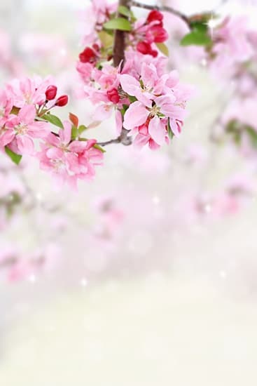 b918f704ccc26ff9cece2fcc54bb627a_1680852303_5085.jpg